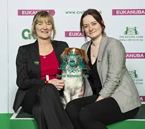 Crufts 2019 - Best of Breed / Utility