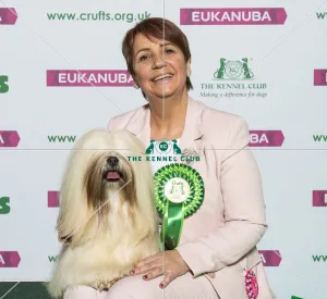 Crufts 2019 - Best of Breed / Utility