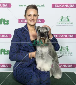 Crufts 2019 - Best of Breed / Utility