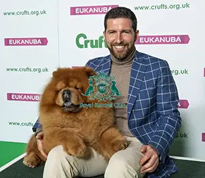Crufts 2019 - Best of Breed / Utility