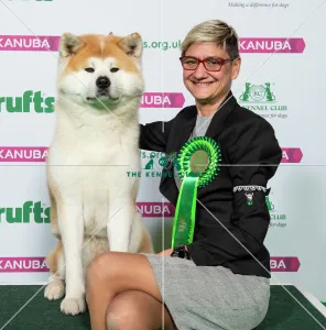 Crufts 2019 - Best of Breed / Utility