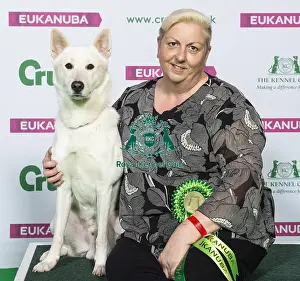 Crufts 2019 - Best of Breed / Utility