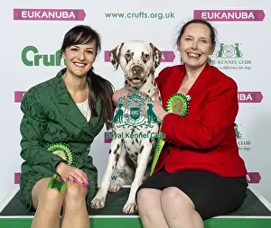 Crufts 2019 - Best of Breed / Utility