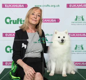 Crufts 2019 - Best of Breed / Utility