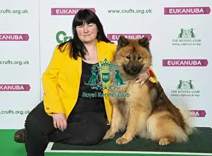 Crufts 2019 - Best of Breed / Utility