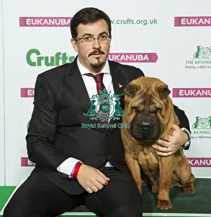 Crufts 2019 - Best of Breed / Utility