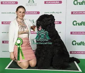Crufts 2019 - Best of Breed / Working