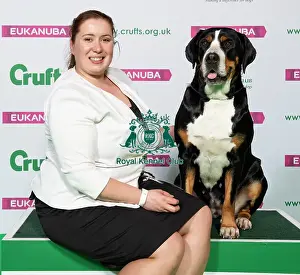 Crufts 2019 - Best of Breed / Working