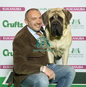 Crufts 2019 - Best of Breed / Working