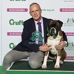 Crufts 2019 - Best of Breed / Working