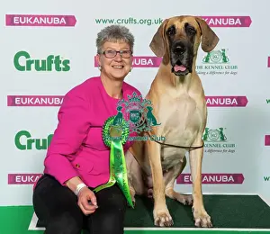 Crufts 2019 - Best of Breed / Working