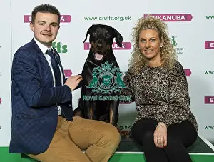 Crufts 2019 - Best of Breed / Working