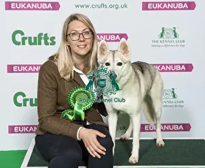 Crufts 2019 - Best of Breed / Working