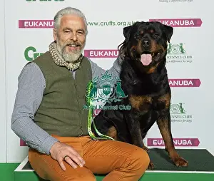 Crufts 2019 - Best of Breed / Working