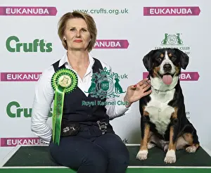 Crufts 2019 - Best of Breed / Working