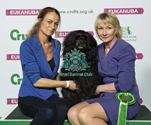 Crufts 2019 - Best of Breed / Working