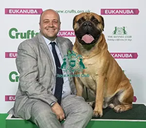 Crufts 2019 - Best of Breed / Working