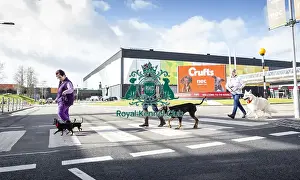 Crufts 2019 - Birmingham Launch, NEC, UK - 5 Mar 2019