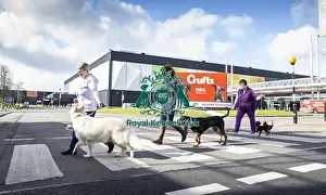 Crufts 2019 - Birmingham Launch, NEC, UK - 5 Mar 2019