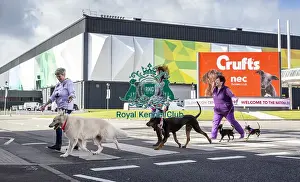 Crufts 2019 - Birmingham Launch, NEC, UK - 5 Mar 2019