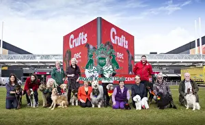Crufts 2019 - Birmingham Launch, NEC, UK - 5 Mar 2019
