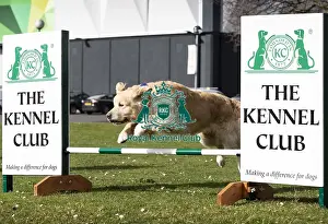 Crufts 2019 - Birmingham Launch, NEC, UK - 5 Mar 2019