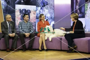 Crufts 2019 - Celebrities