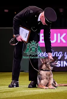 Crufts 2019 - Day Four, NEC, UK - 10 Mar 2019