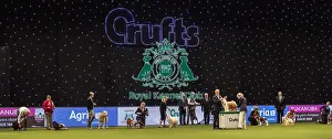 Crufts 2019 - Day Four, NEC, UK - 10 Mar 2019