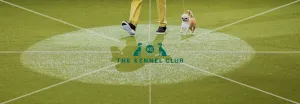 Crufts 2019 - Day Four, NEC, UK - 10 Mar 2019