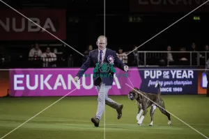 Crufts 2019 - Day Four, NEC, UK - 10 Mar 2019