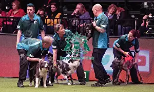 Crufts 2019 - Day Four, NEC, UK - 10 Mar 2019