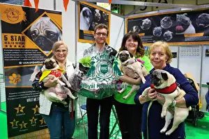 Crufts 2019 - Day Four, NEC, UK - 10 Mar 2019