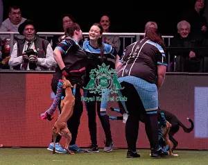 Crufts 2019 - Day Four, NEC, UK - 10 Mar 2019