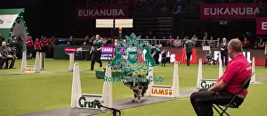 Crufts 2019 - Day Four, NEC, UK - 10 Mar 2019
