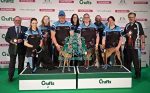 Crufts 2019 - Day Four, NEC, UK - 10 Mar 2019