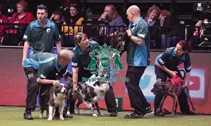 Crufts 2019 - Day Four, NEC, UK - 10 Mar 2019