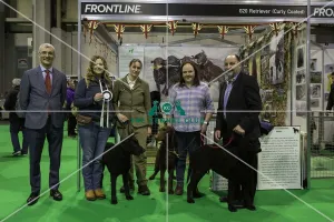 Crufts 2019 - Day Four, NEC, UK - 10 Mar 2019