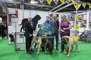 Crufts 2019 - Day Four, NEC, UK - 10 Mar 2019