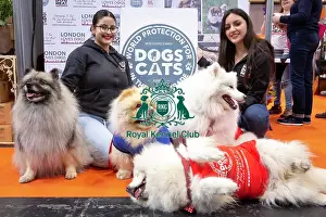 Crufts 2019 - Day Four, NEC, UK - 10 Mar 2019