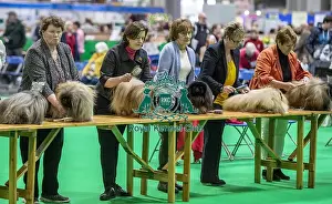Crufts 2019 - Day Four, NEC, UK - 10 Mar 2019