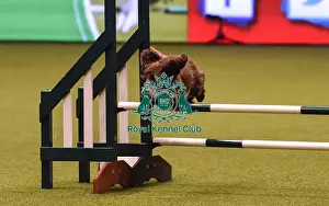 Crufts 2019 - Day Four, NEC, UK - 10 Mar 2019
