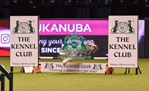 Crufts 2019 - Day Four, NEC, UK - 10 Mar 2019