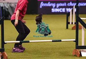 Crufts 2019 - Day Four, NEC, UK - 10 Mar 2019