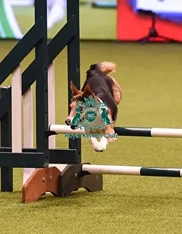 Crufts 2019 - Day Four, NEC, UK - 10 Mar 2019