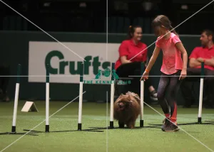 Crufts 2019 - Day One, NEC, UK - 7 Mar 2019