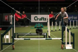Crufts 2019 - Day One, NEC, UK - 7 Mar 2019