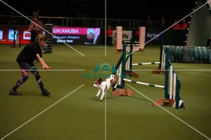 Crufts 2019 - Day One, NEC, UK - 7 Mar 2019