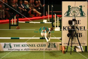 Crufts 2019 - Day One, NEC, UK - 7 Mar 2019