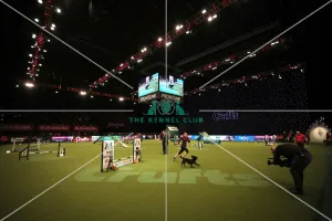 Crufts 2019 - Day One, NEC, UK - 7 Mar 2019